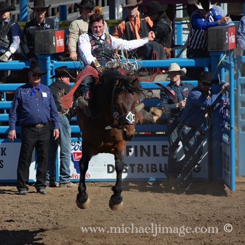 rodeo 6